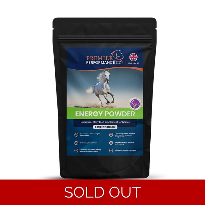 product Image for Premier Performance Energy Powder 15 servings